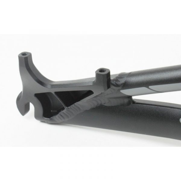 Cuadro X1 Evo 20" - Imagen 10